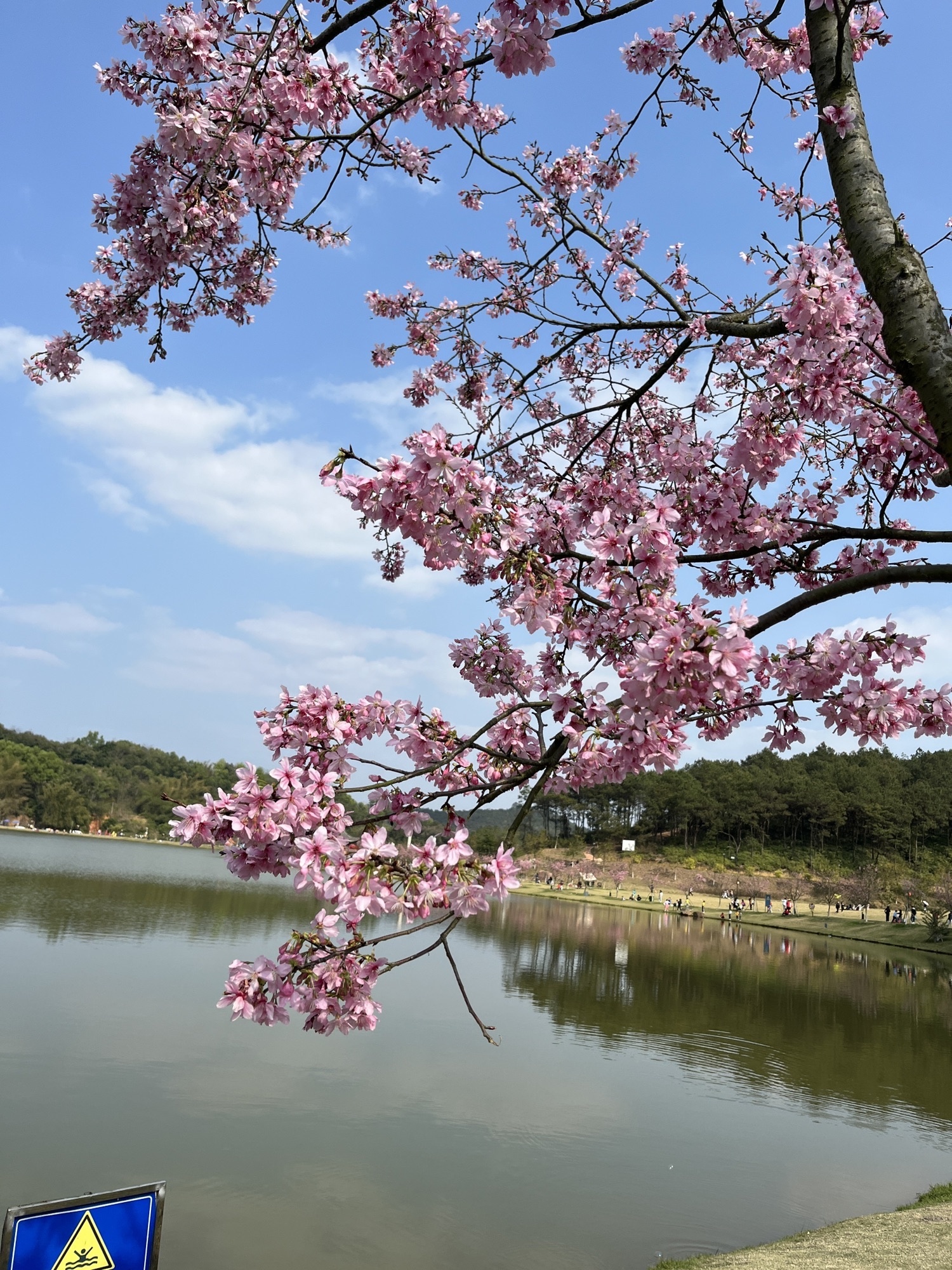 大王山森林公园