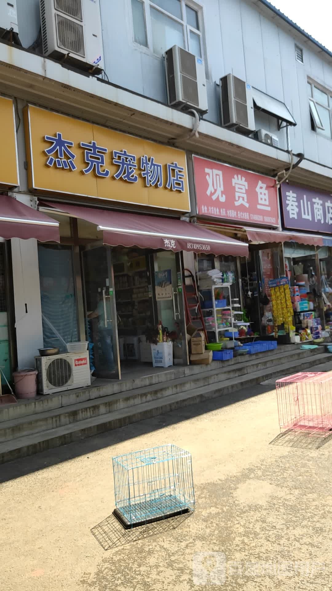 杰克宠物店