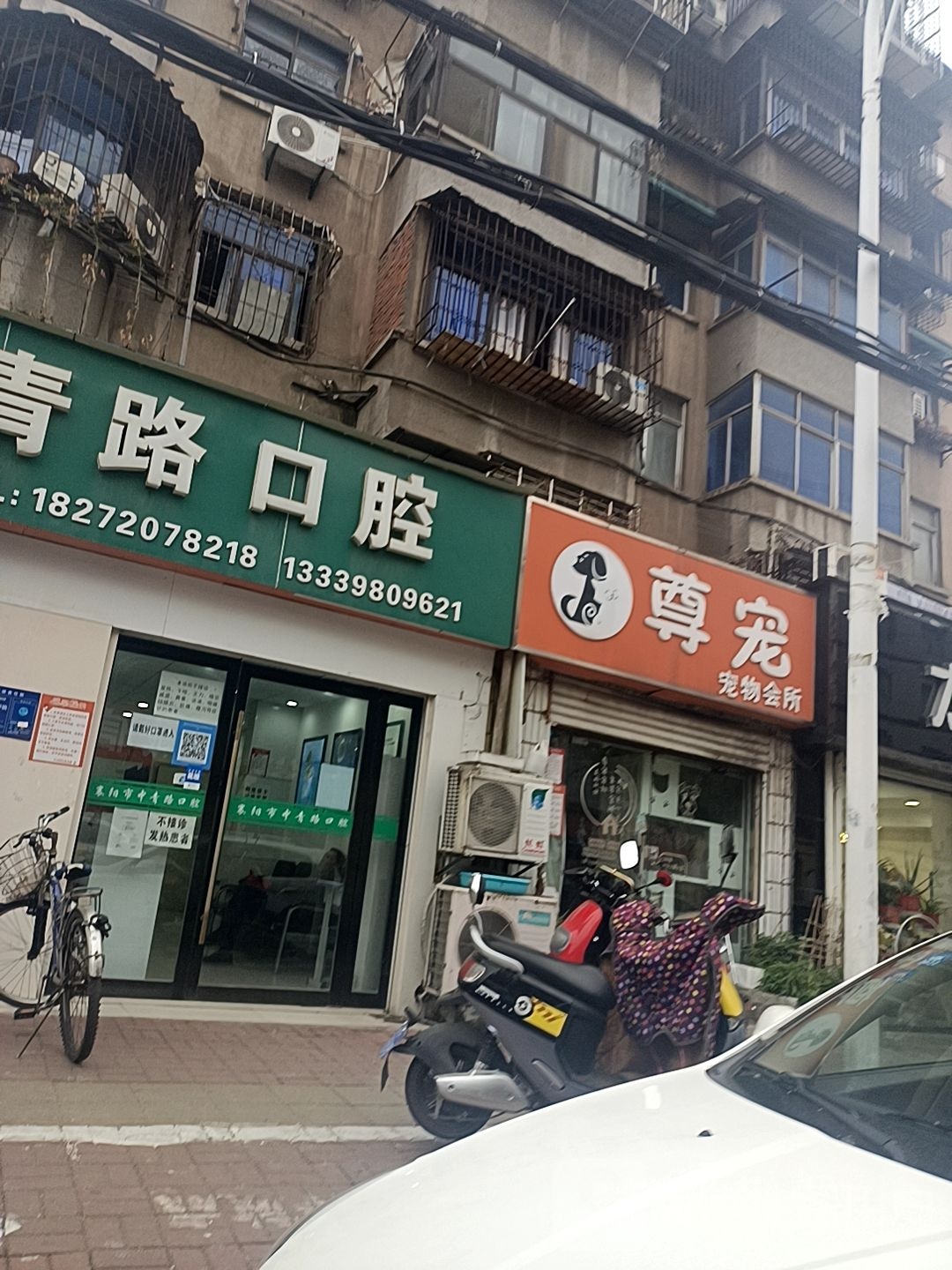 尊宠宠物会所