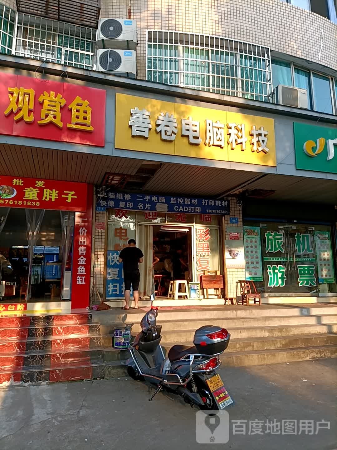 酱板鸭观赏鱼