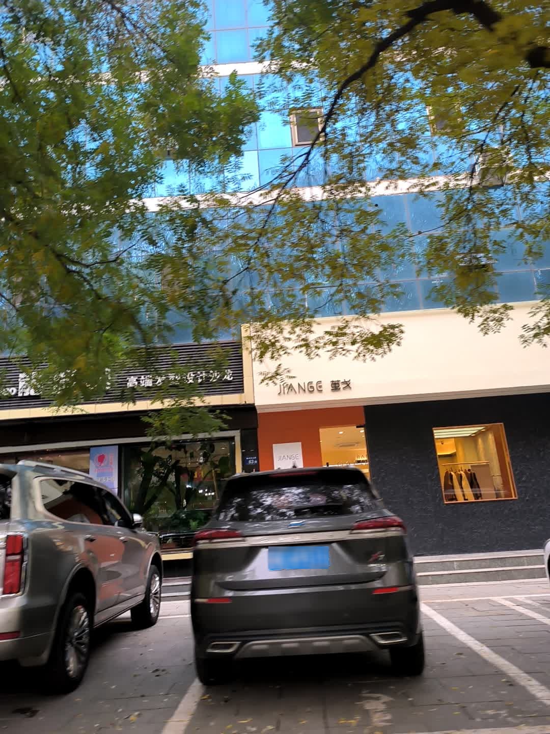 龍虎豹高端发型设计沙龙