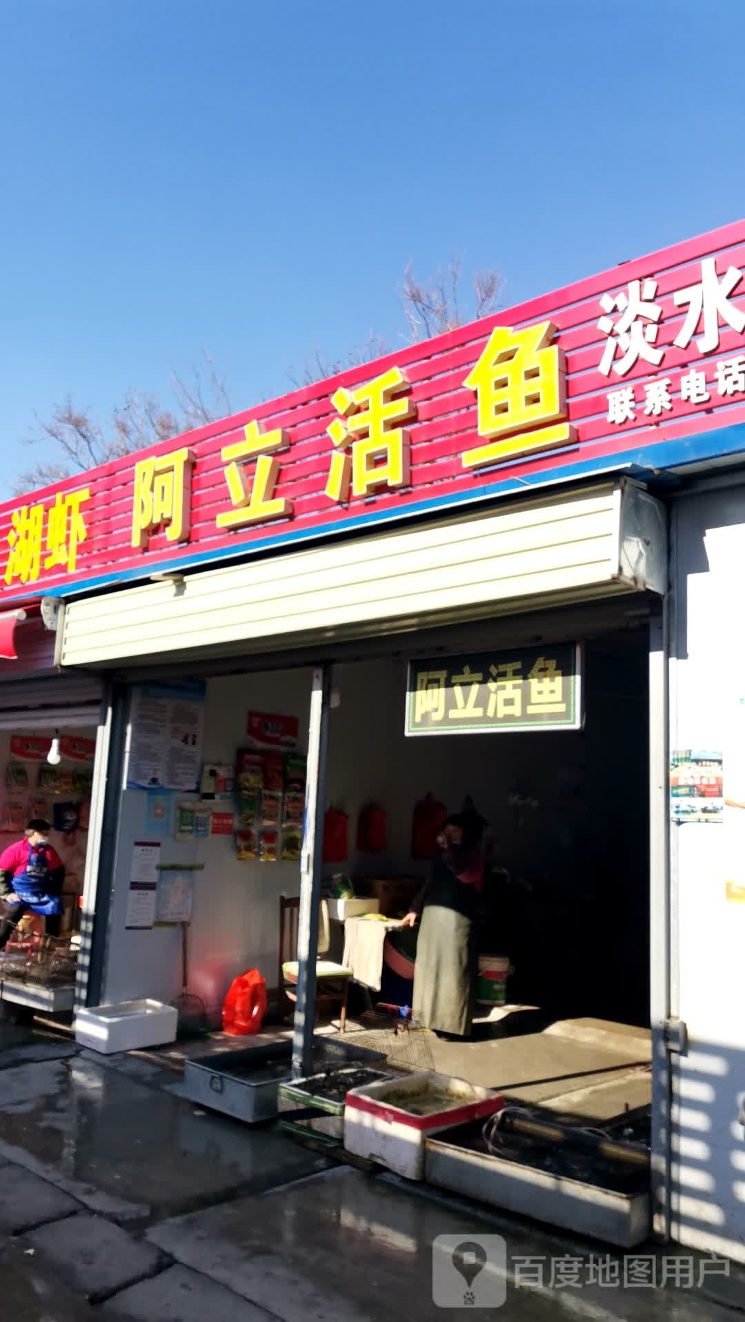 阿立鱼活