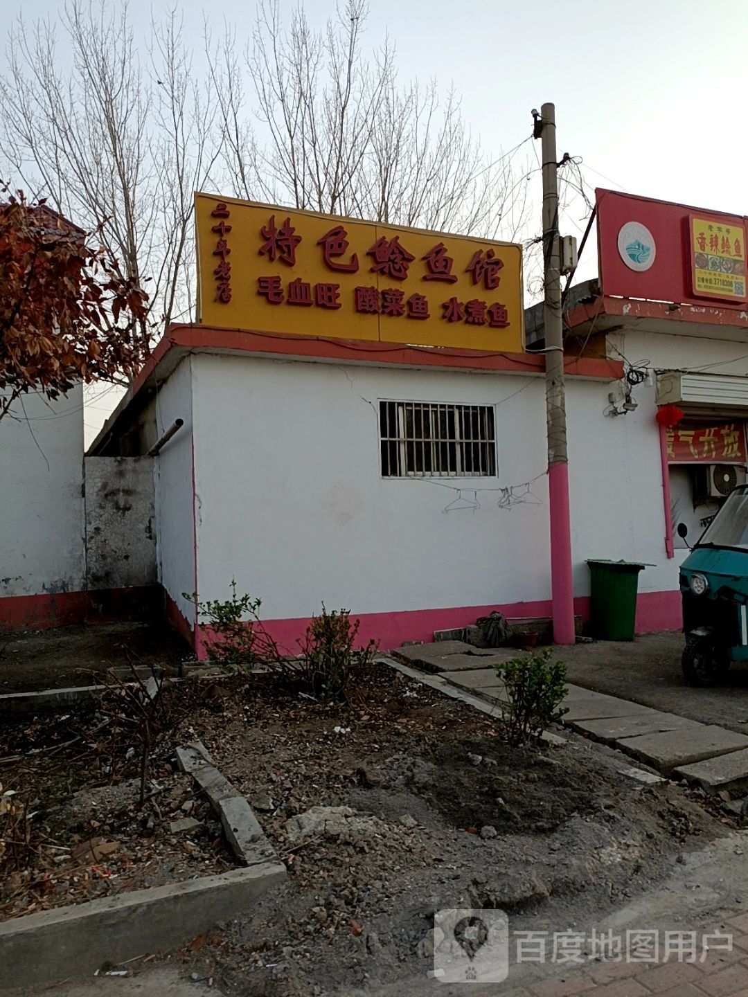 特色鲶鱼观