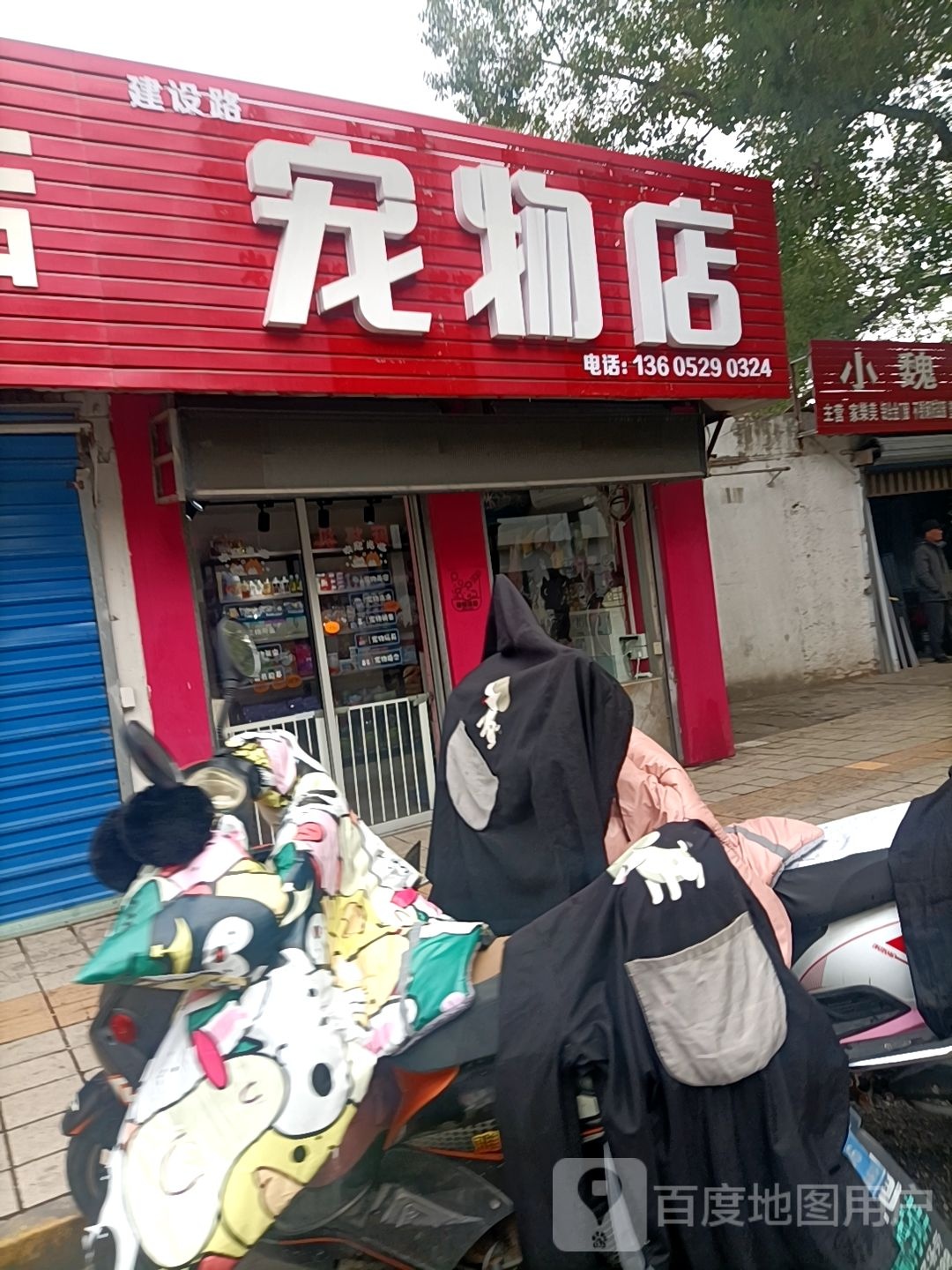 建设路宠物店