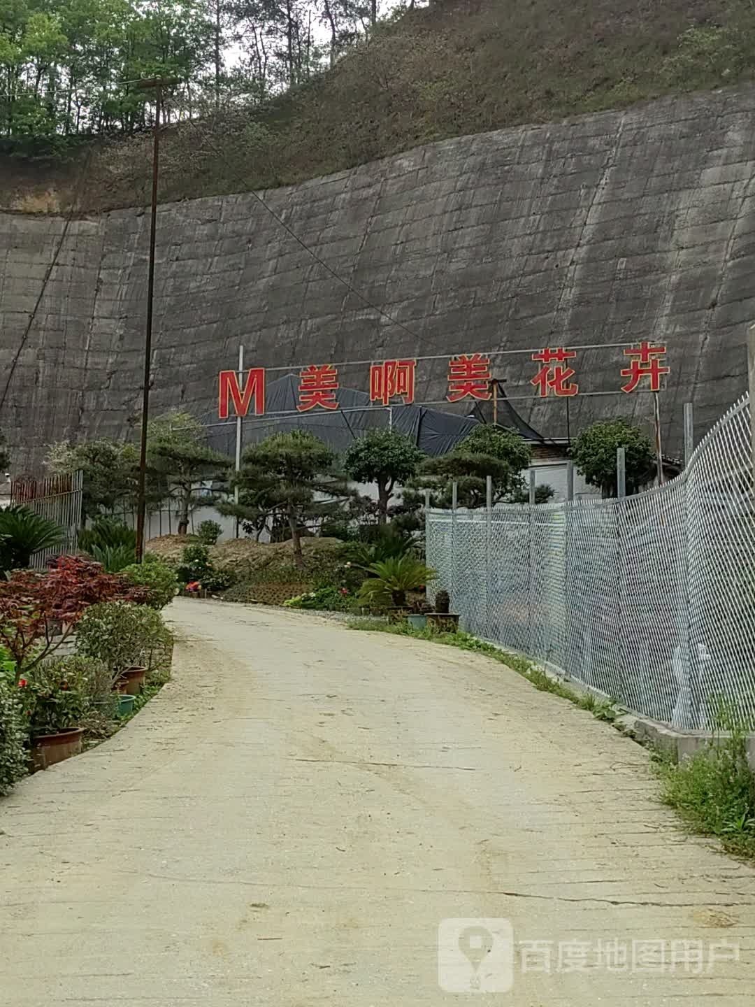 美啊美花卉