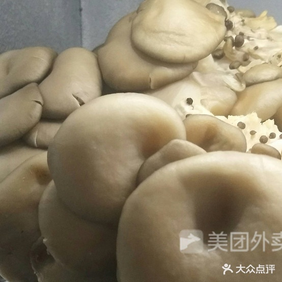 金狮烧烤(秀东路店)