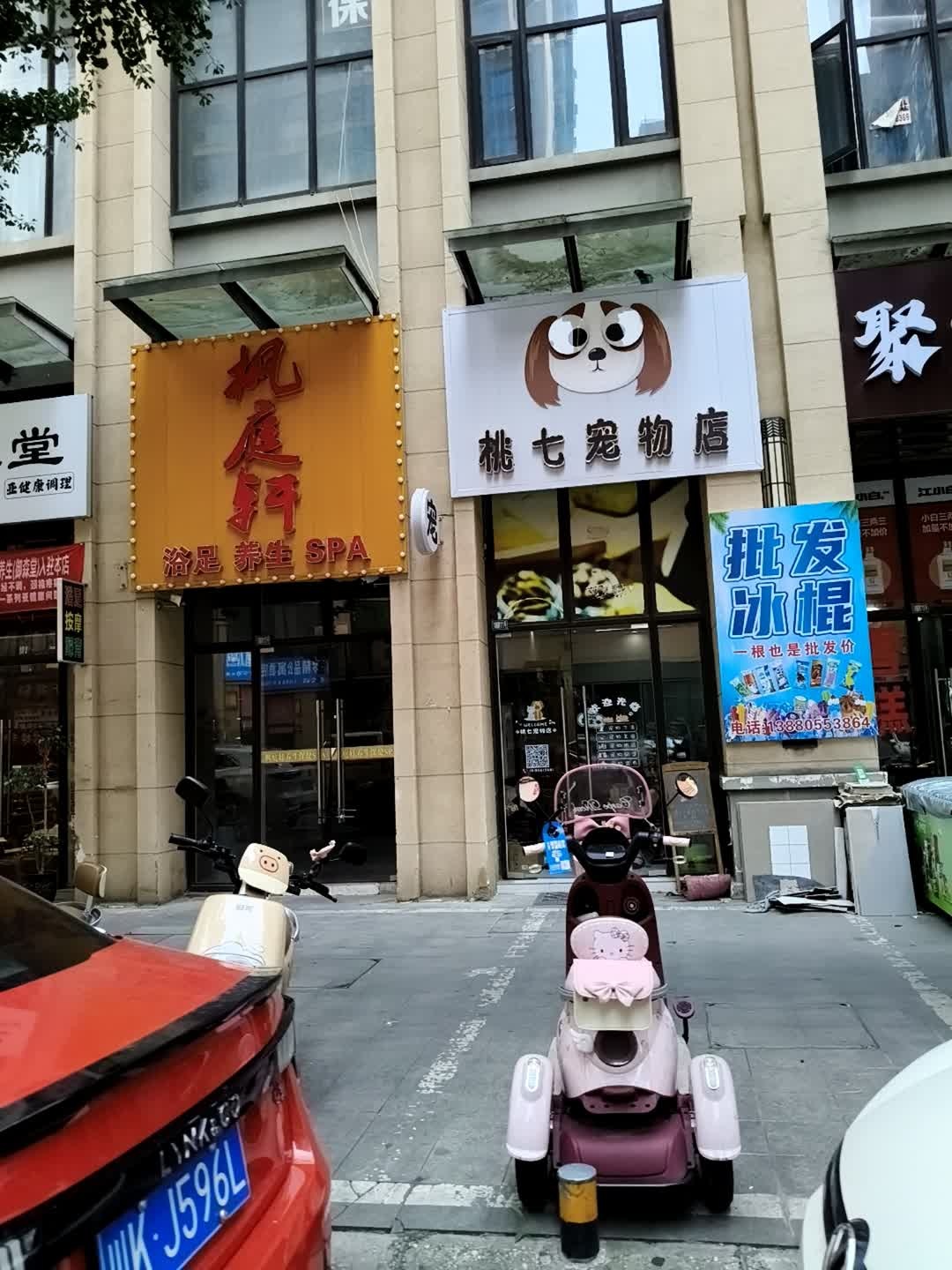 桃七宠物店