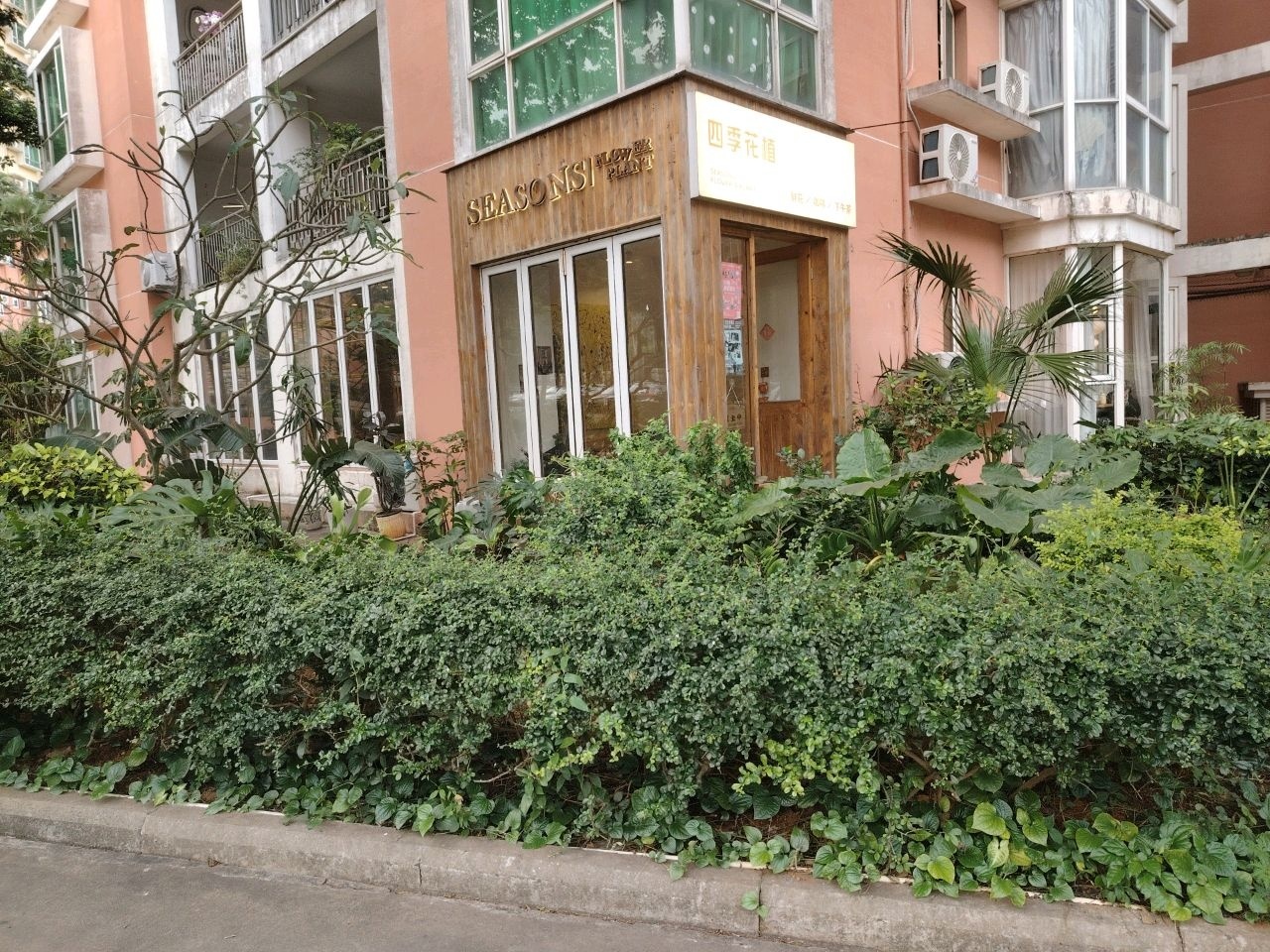 四季花植(奥林匹克花园店)