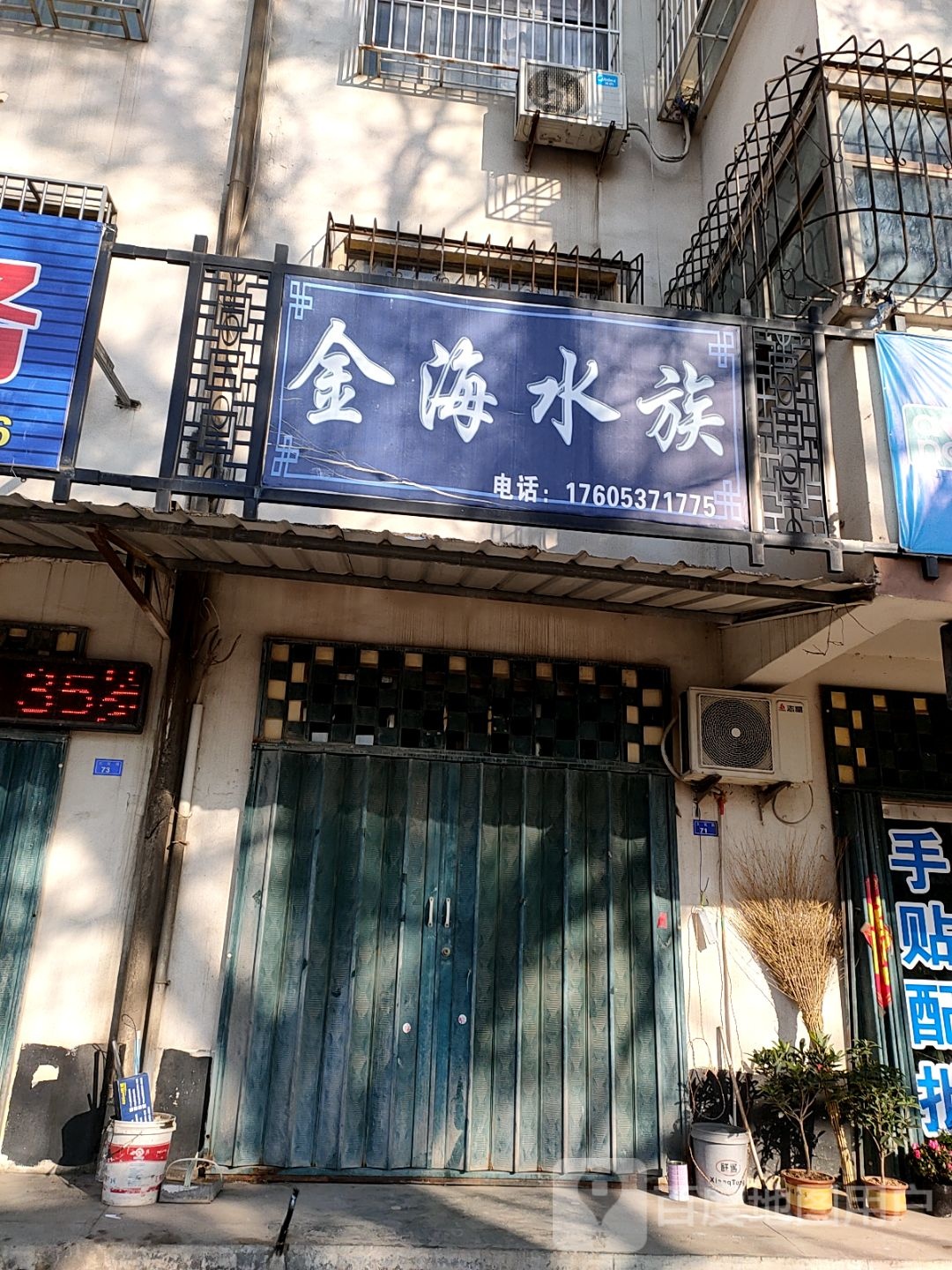 金海水族(振兴路店)