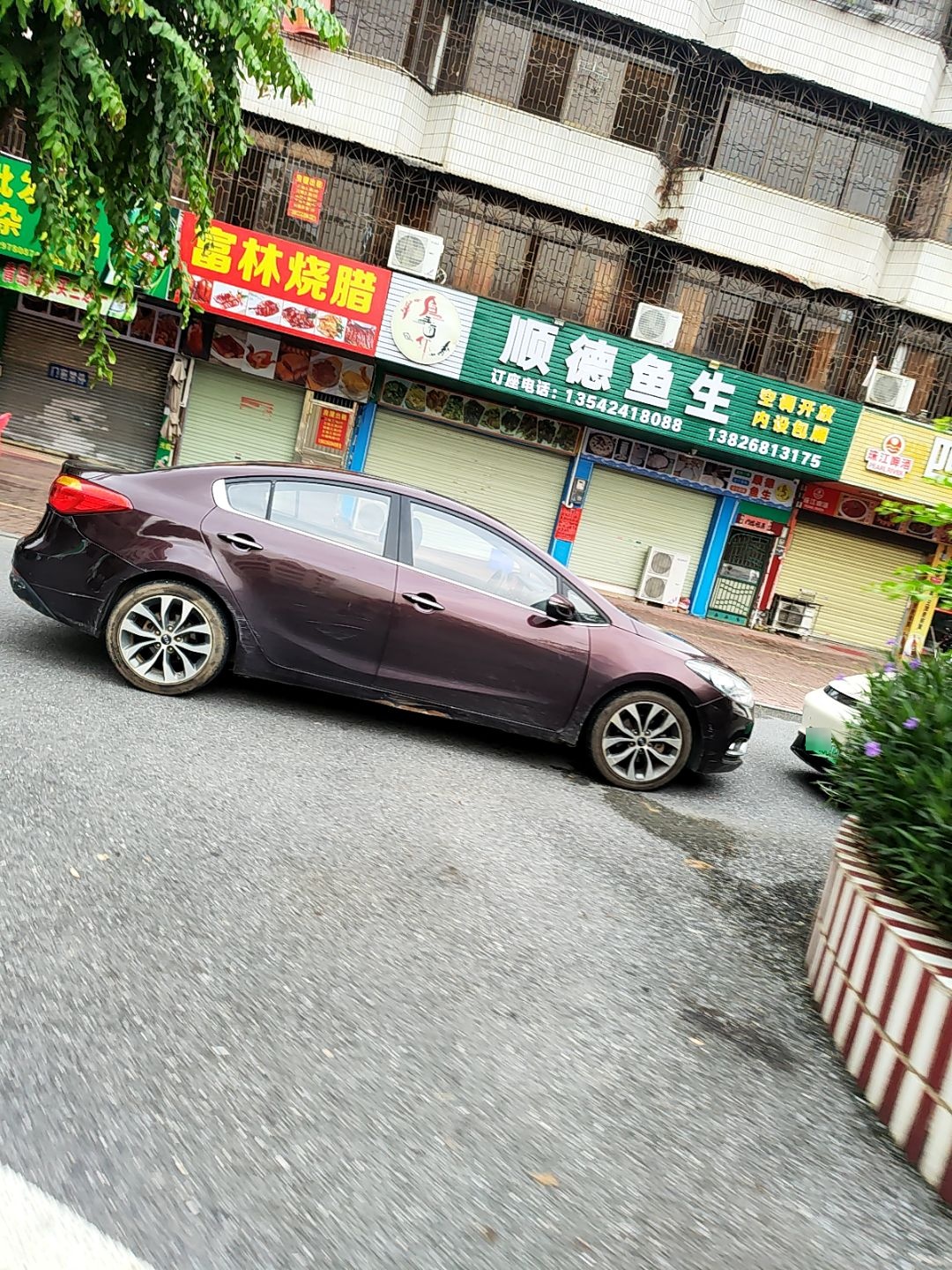 顺德鱼生(育华路店)