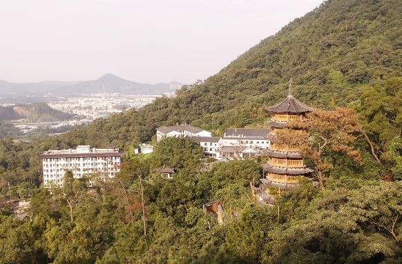 江门市渔人谷(鲢鳙钓场)