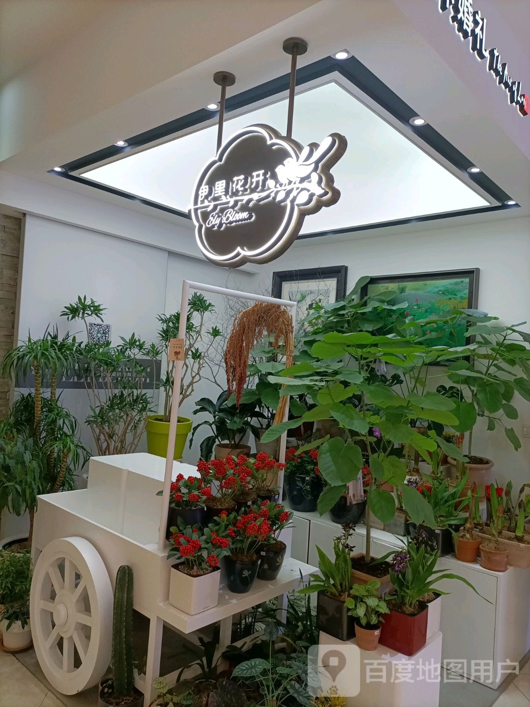 伊里花开(银泰中心店)
