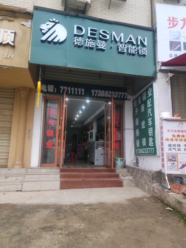 德施曼·智能锁开锁配汽车钥匙(双港西路店)