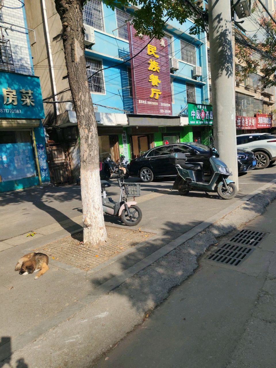 民族餐厅(民族路店)