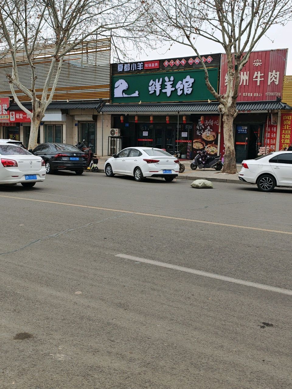 萌宠一族(创业大厦店)