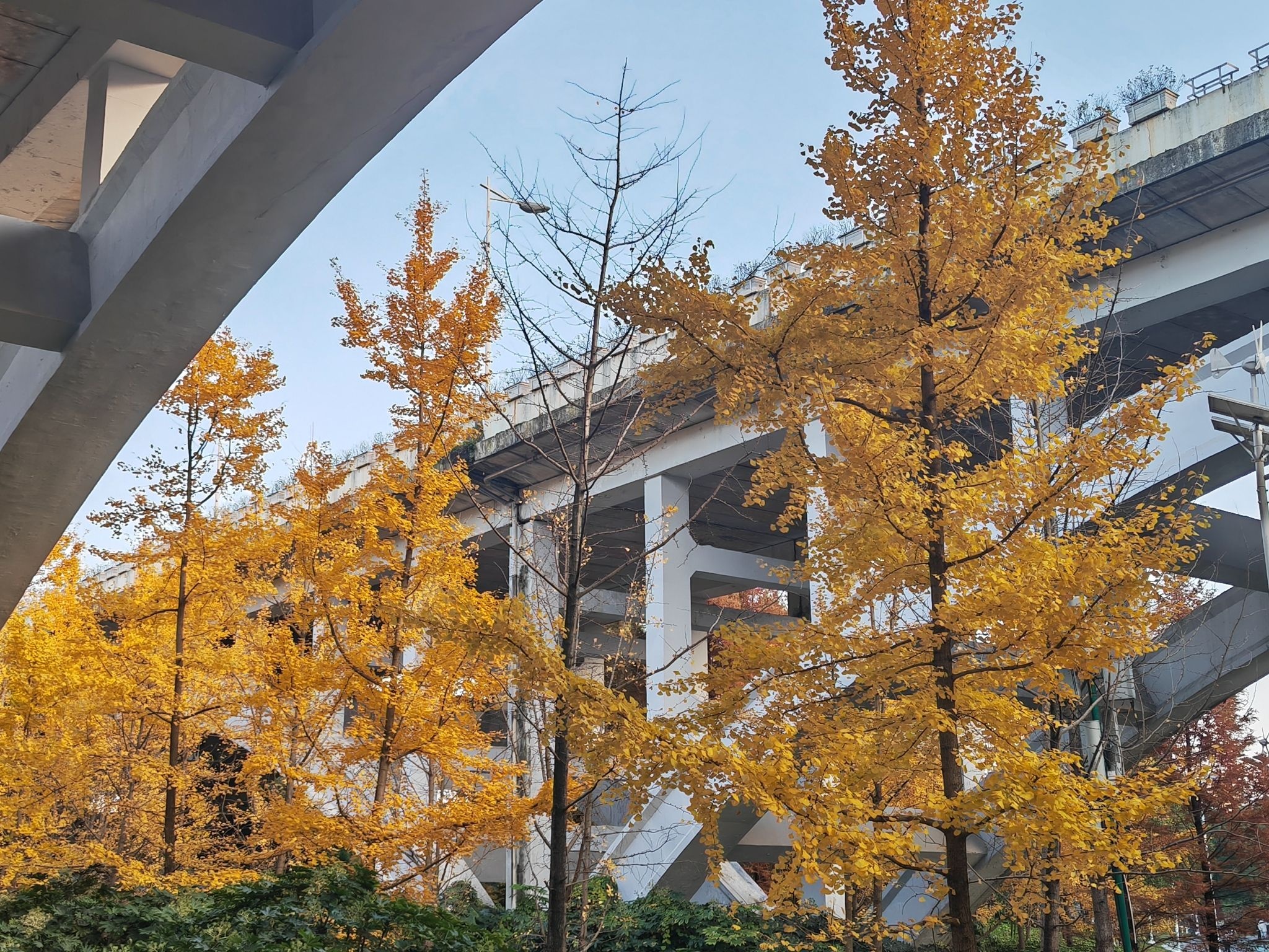 观山湖公园