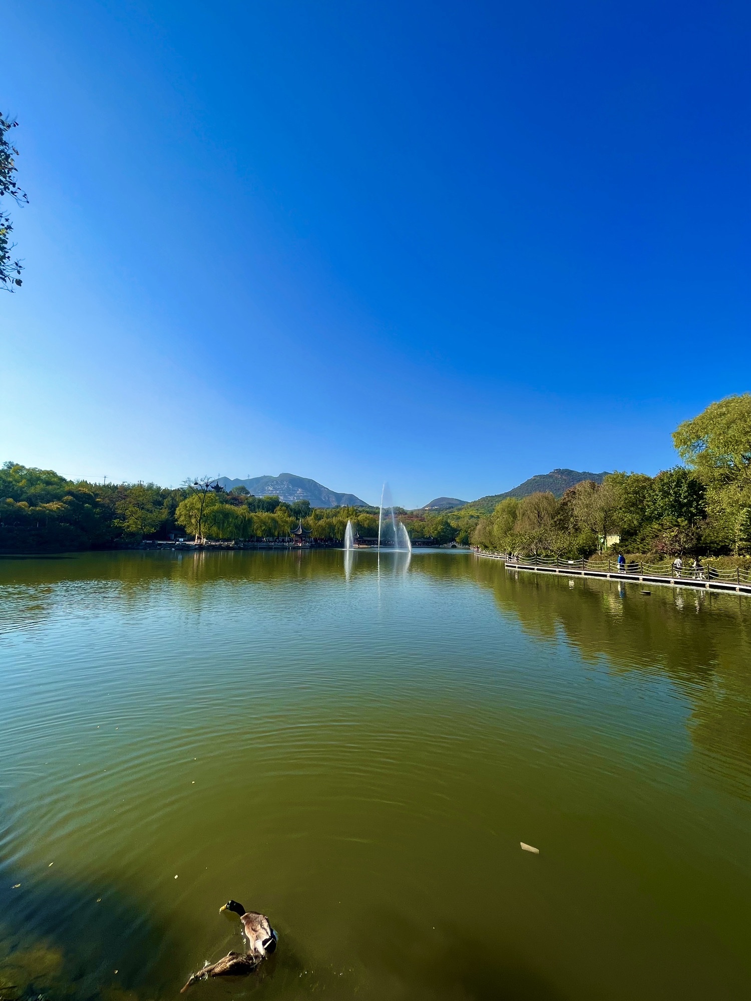 北宫国家森林公园