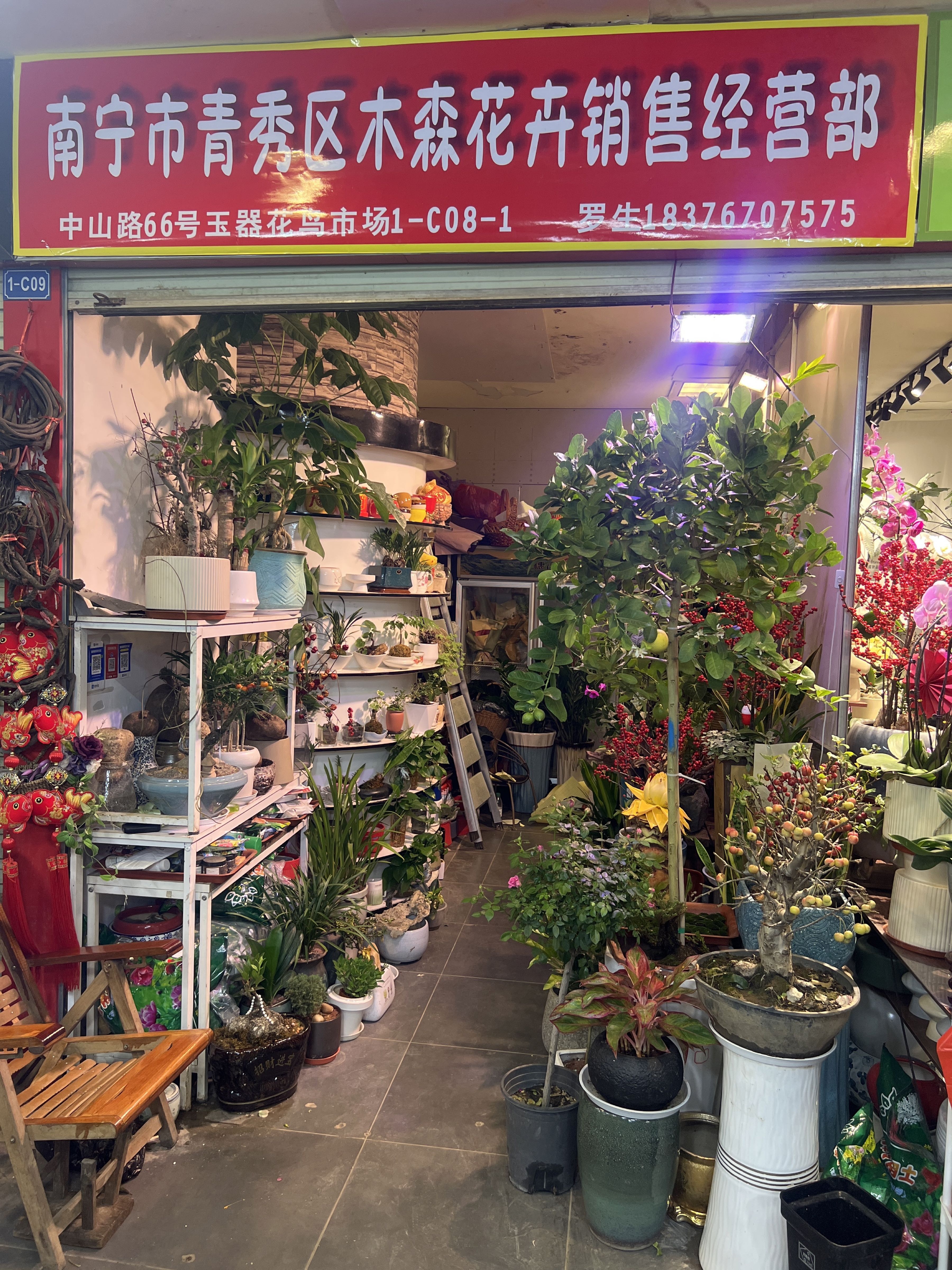 南宁市青秀区木森花卉销售经营部