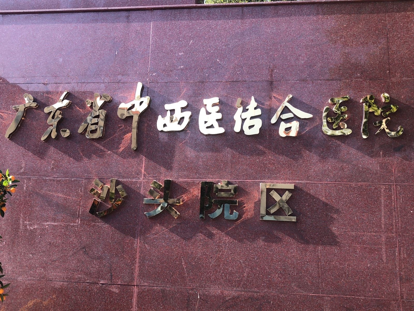 广东省中西医结合医院(沙头院区)