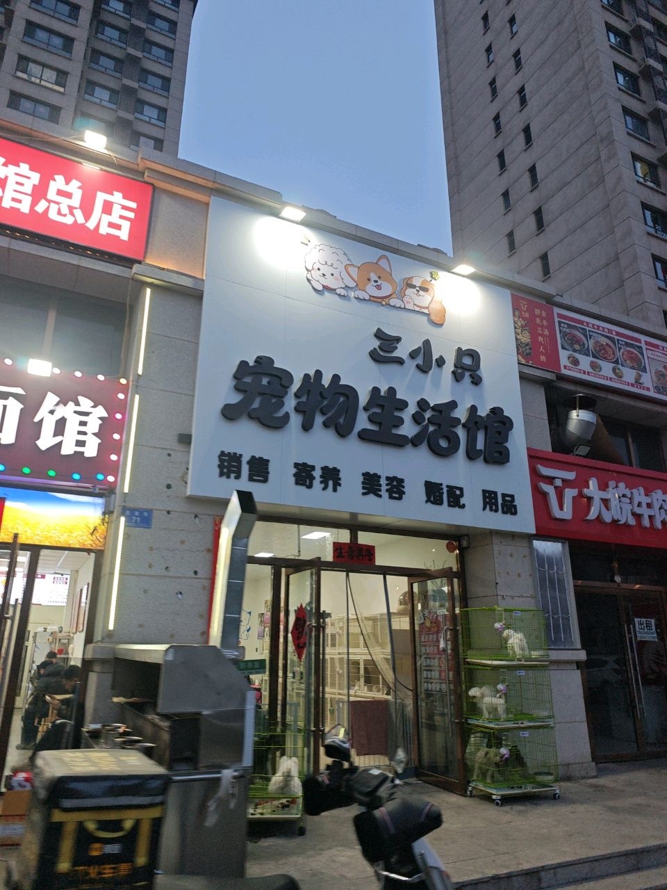 三小只宠物生活馆