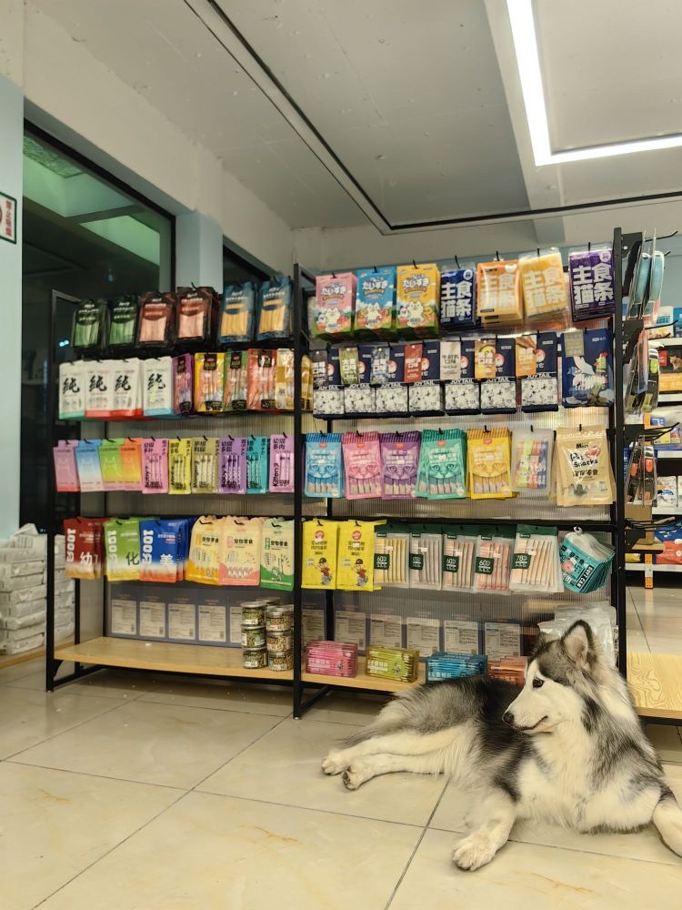 雪嗷嗷宠物综合大卖场