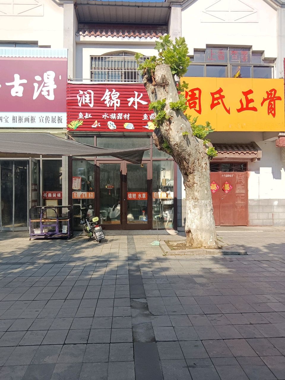 周氏正骨(工商路店)