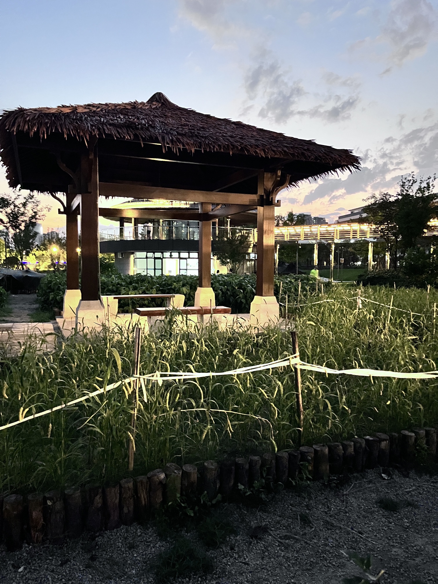 江一公园