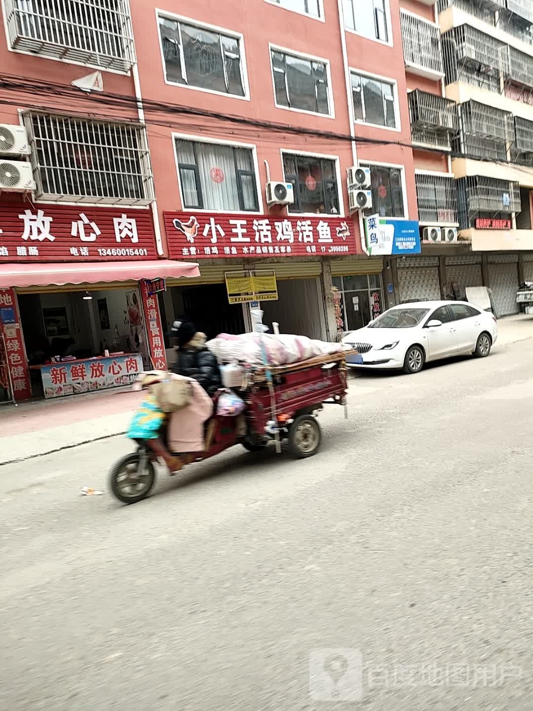 项城市小王活鸡活鱼