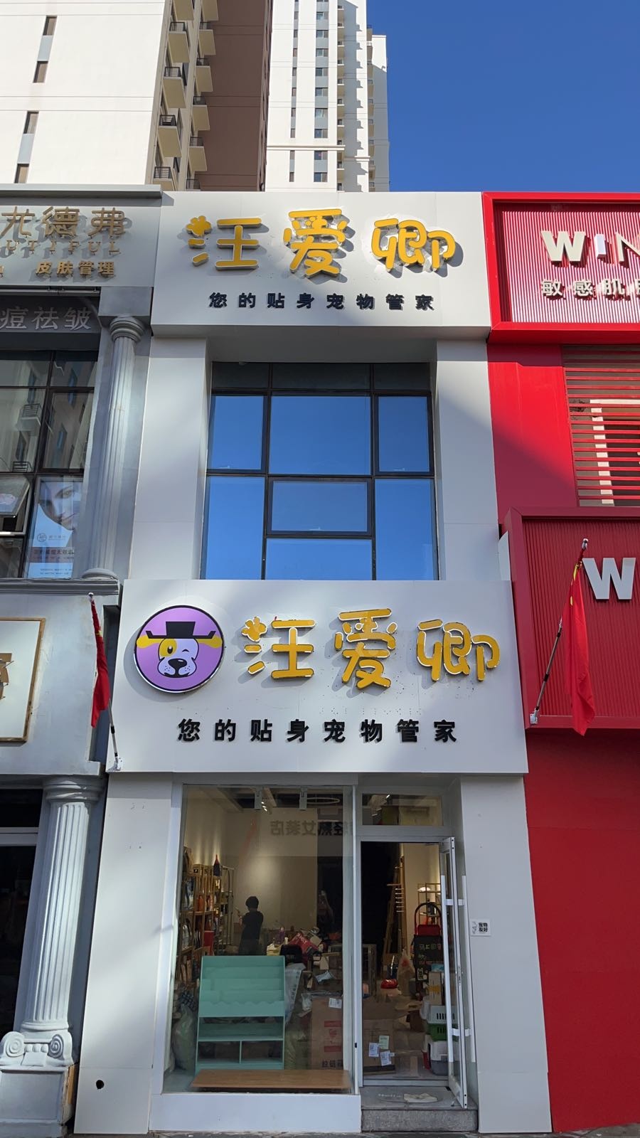 汪爱卿宠物店