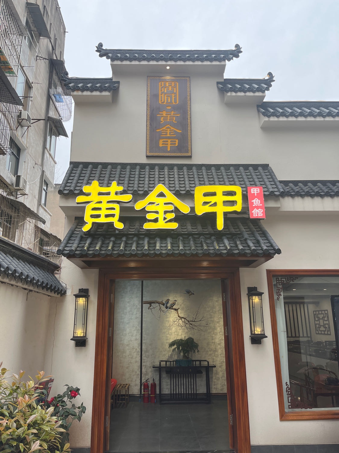 满城·金甲郇茂黄
