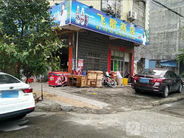 飞歌商店