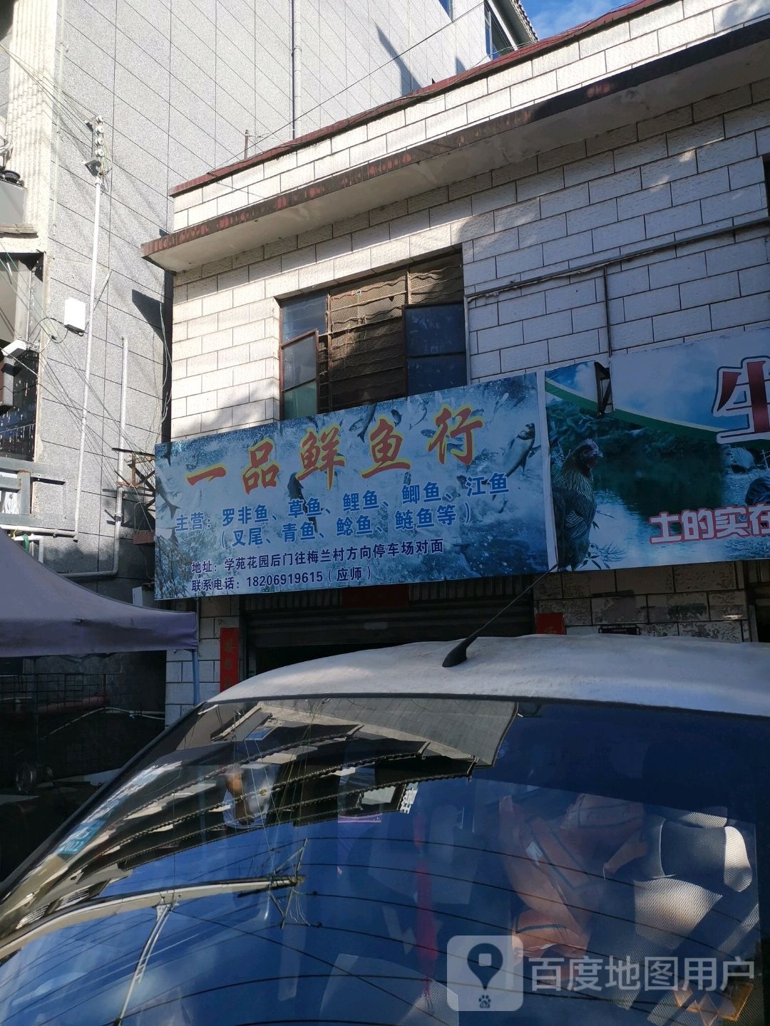 一品鱼市行
