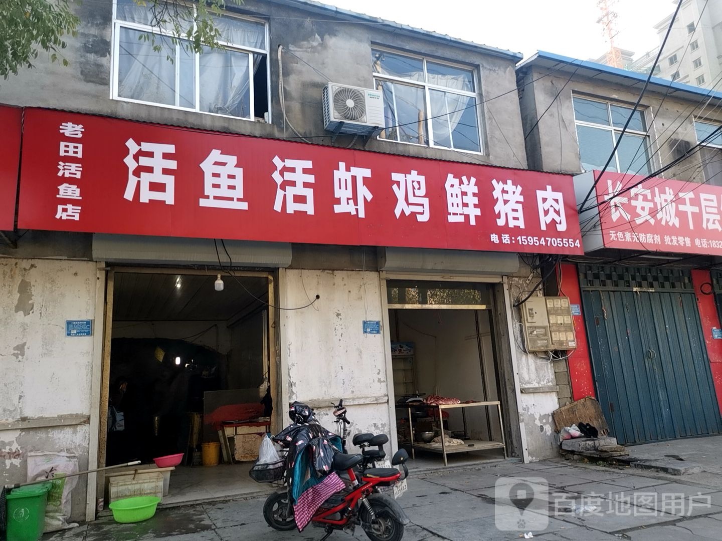 活鸡活活虾