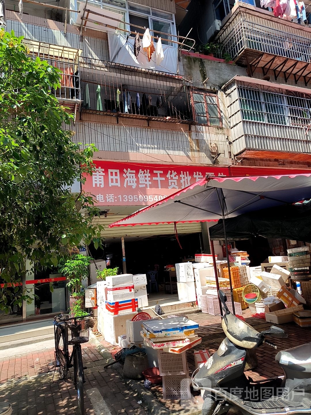 莆田海鲜水货批发零售