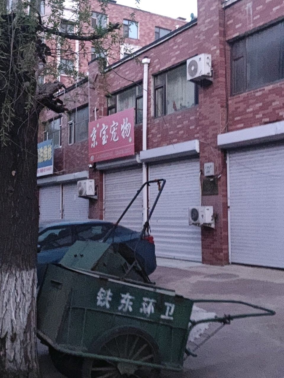 京宝名犬配种宠物用品