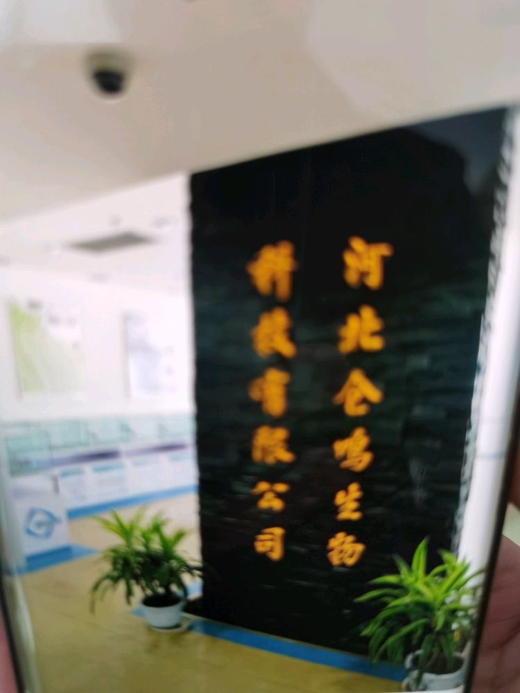 河北仓鸣精品民宿