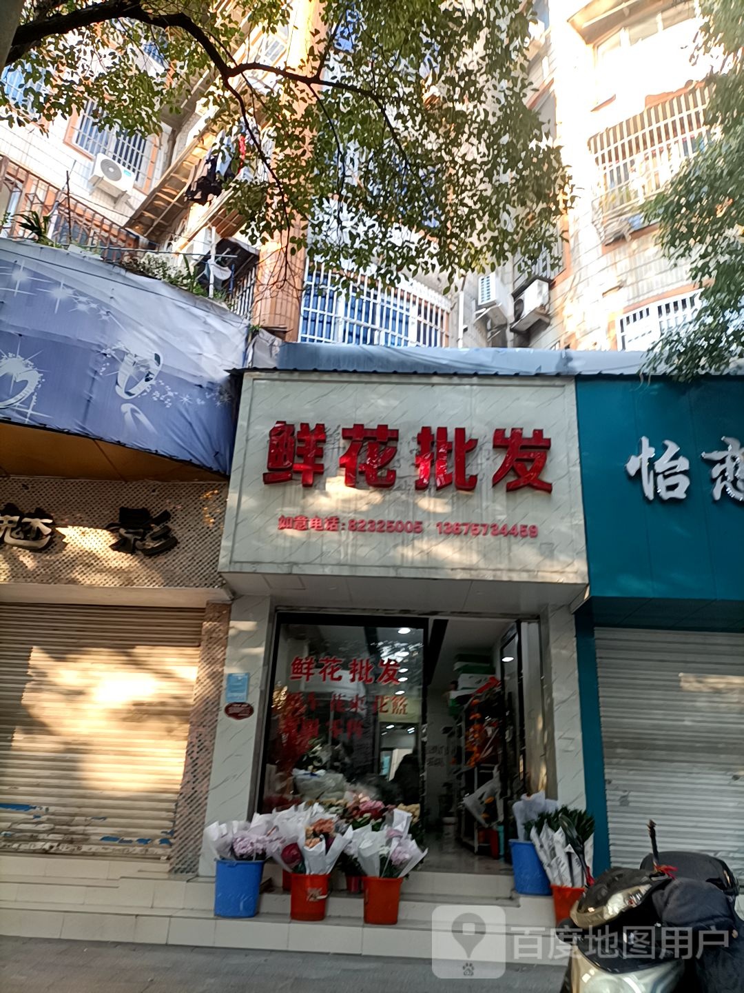 小鲜花批发