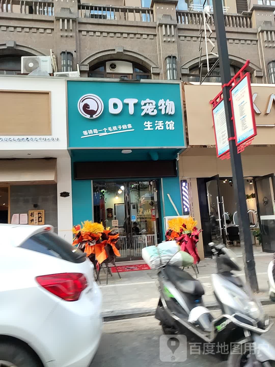 DT宠物生活馆