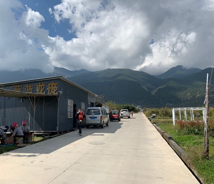 大理庞龙蓝莓发展有限公司