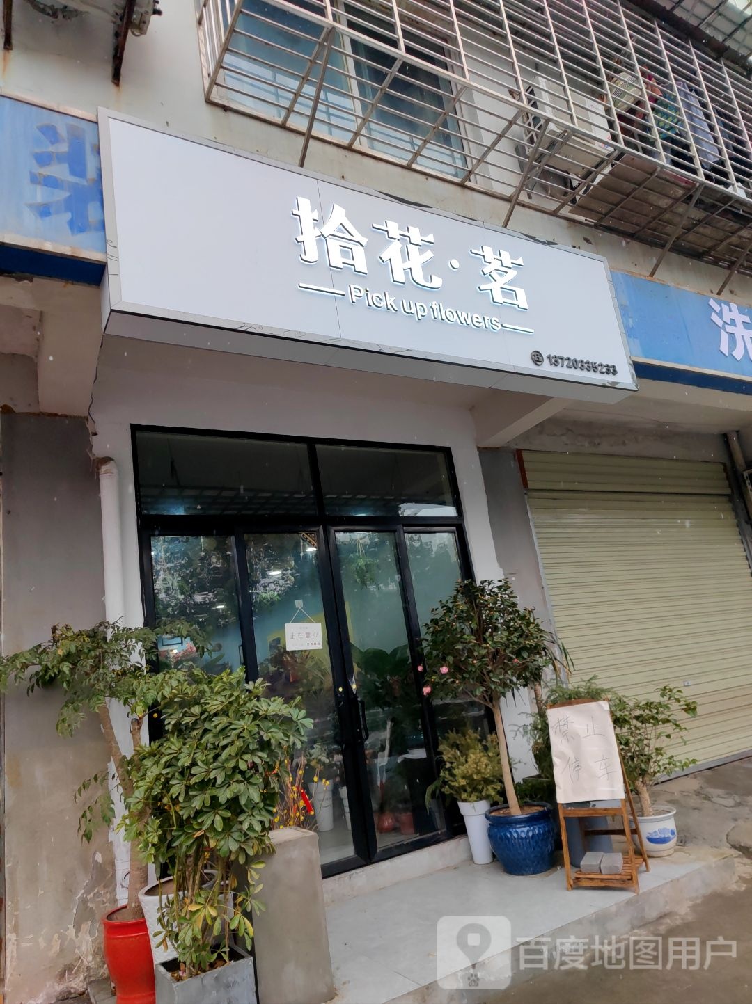 拾花茗