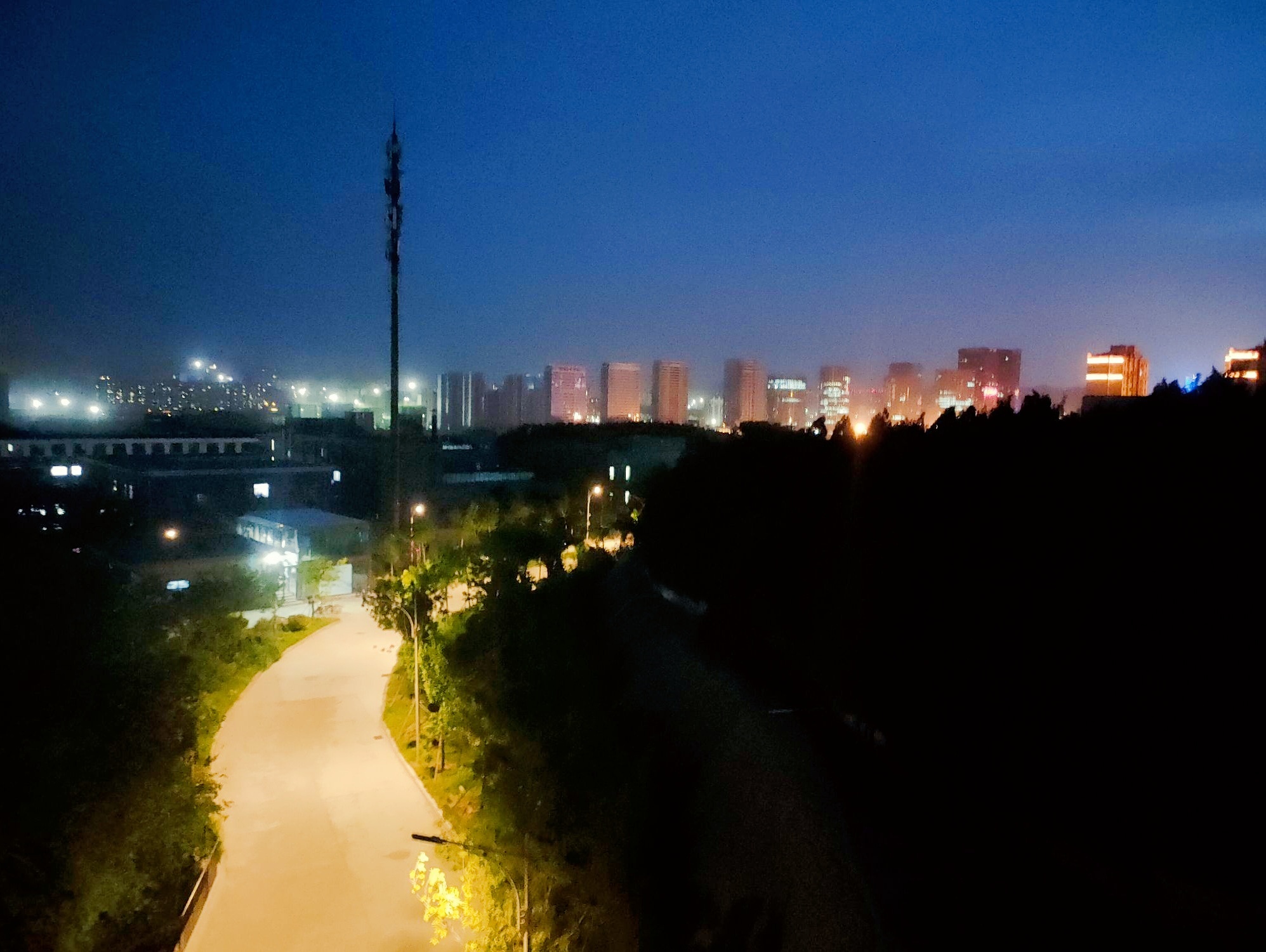 山东青年政治学院