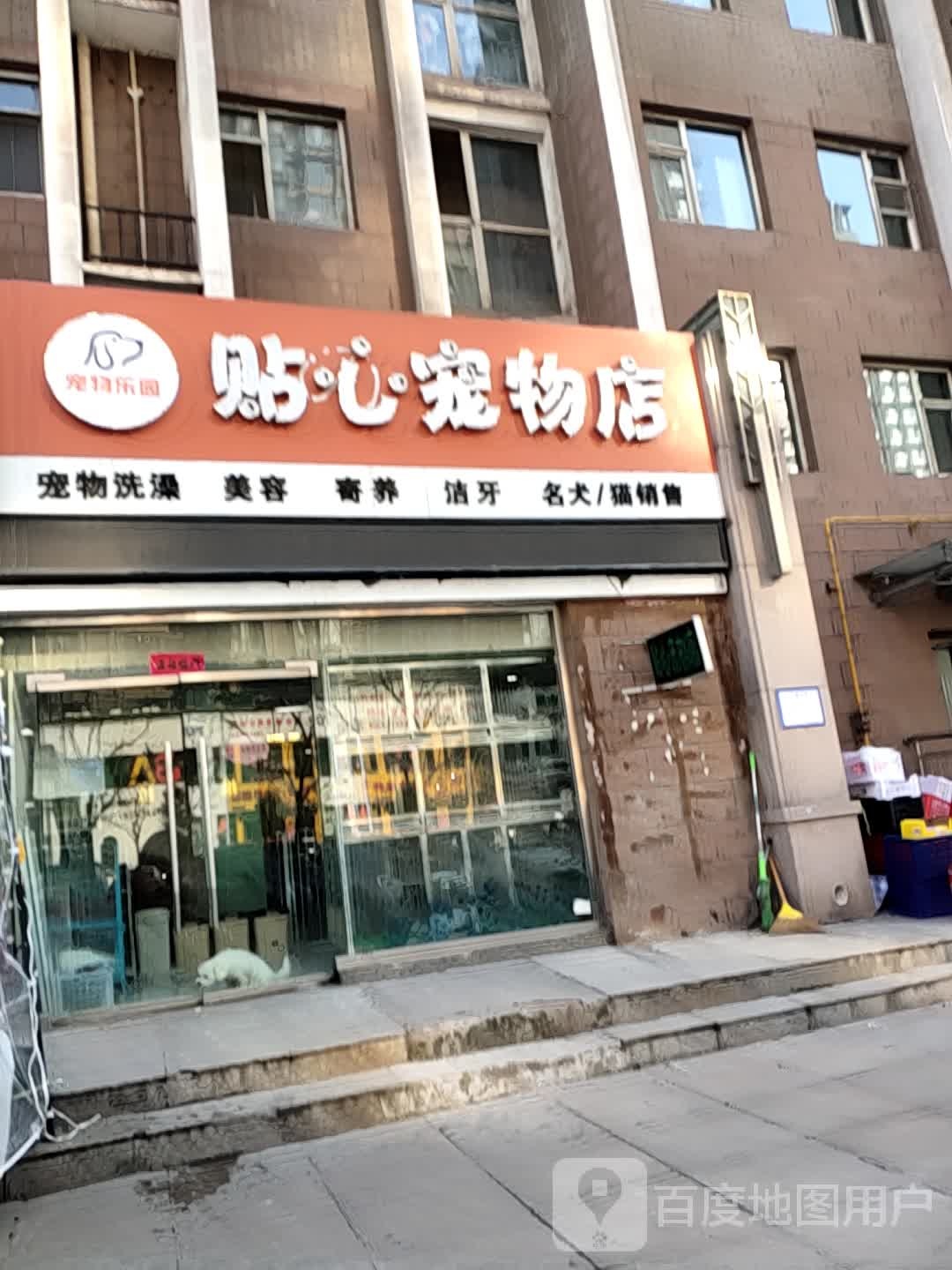 贴心宠物店
