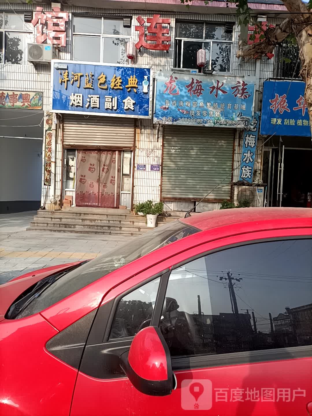 龙梅水族