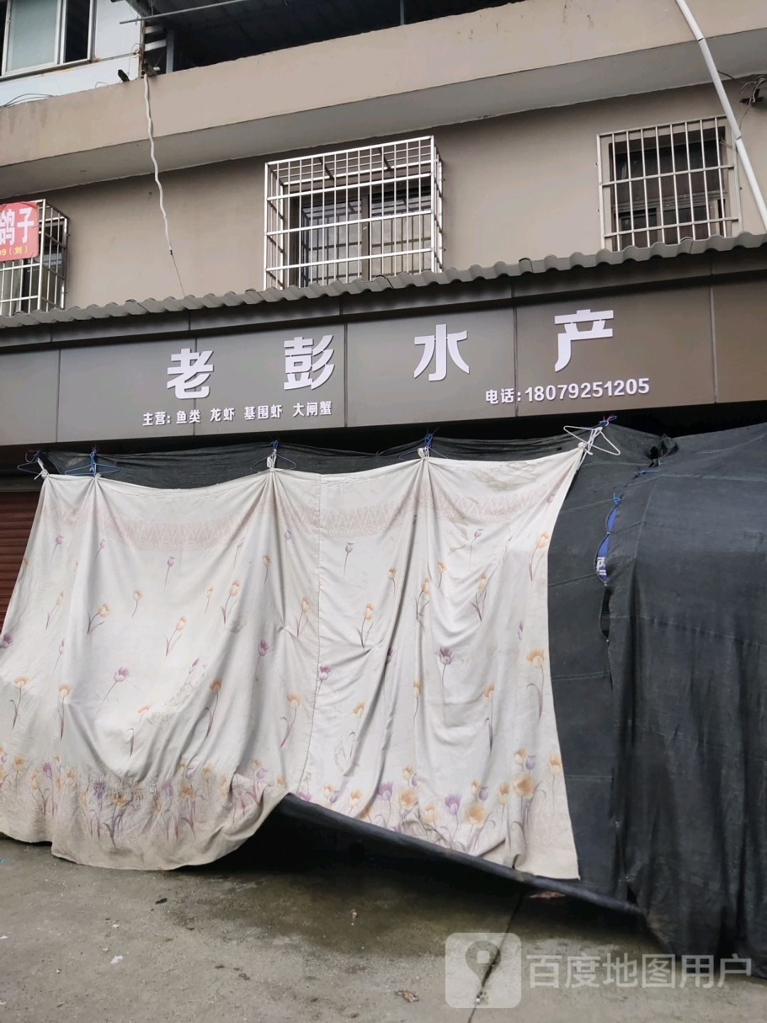 傩彭凤桷老水产