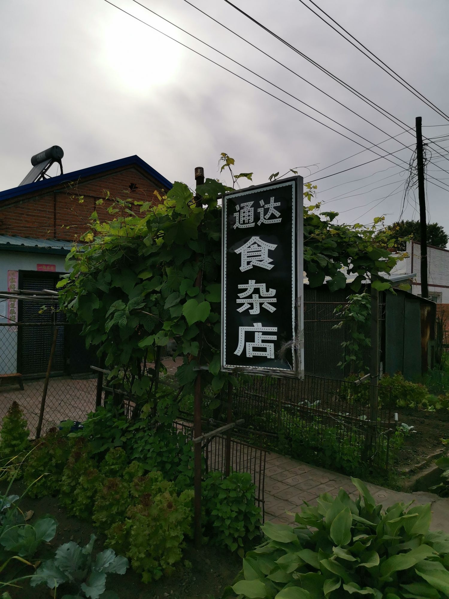 通达食杂店