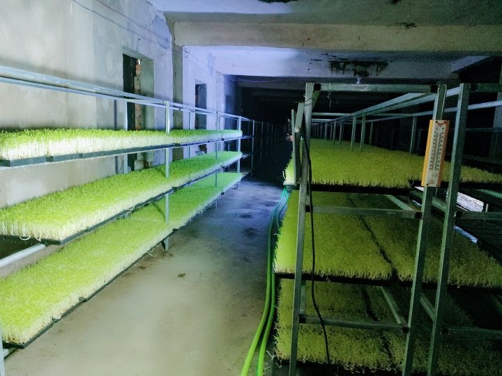 海南向荣农业发展有限公司