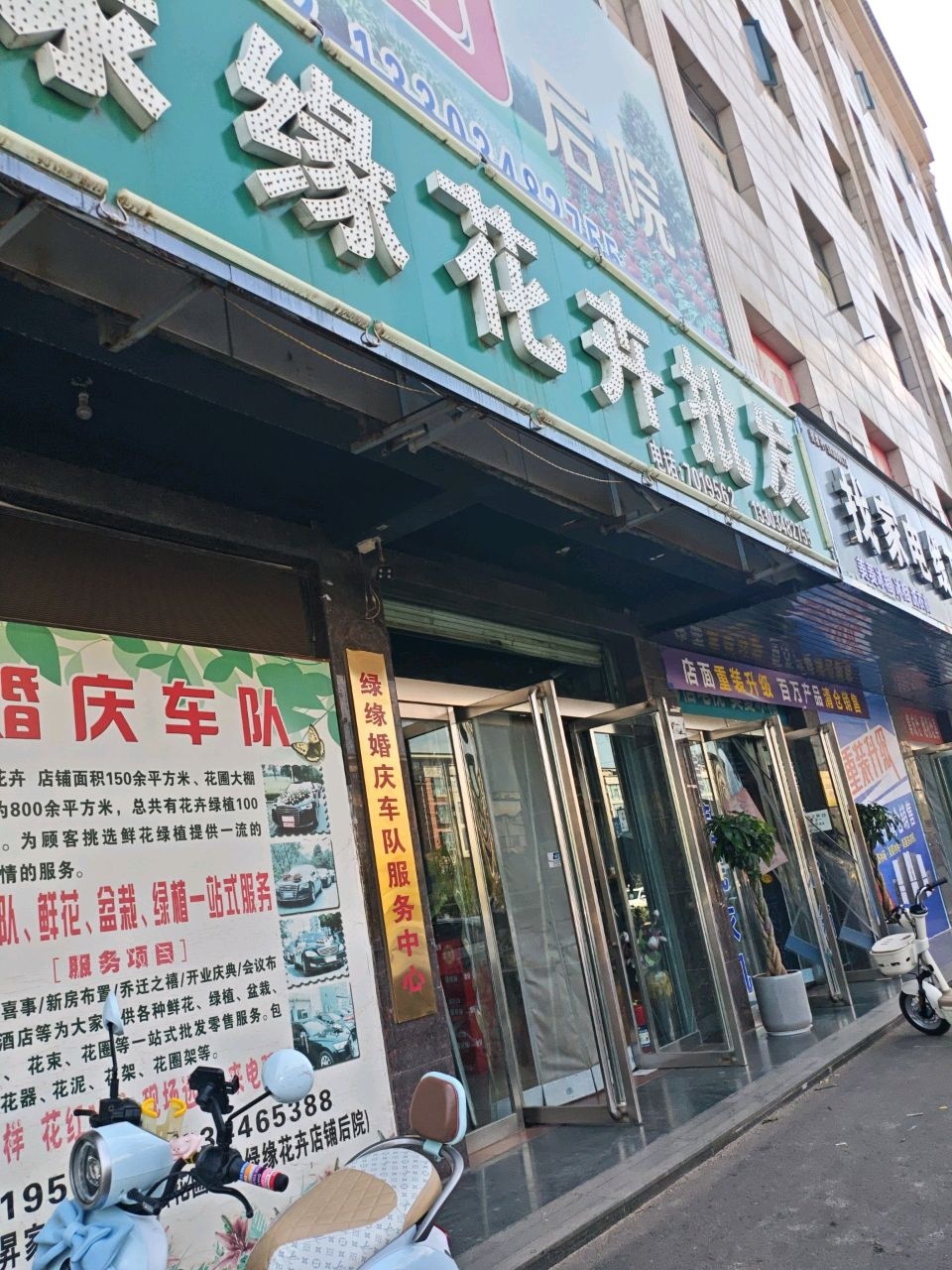 绿缘花卉批发(迦南商厦店)