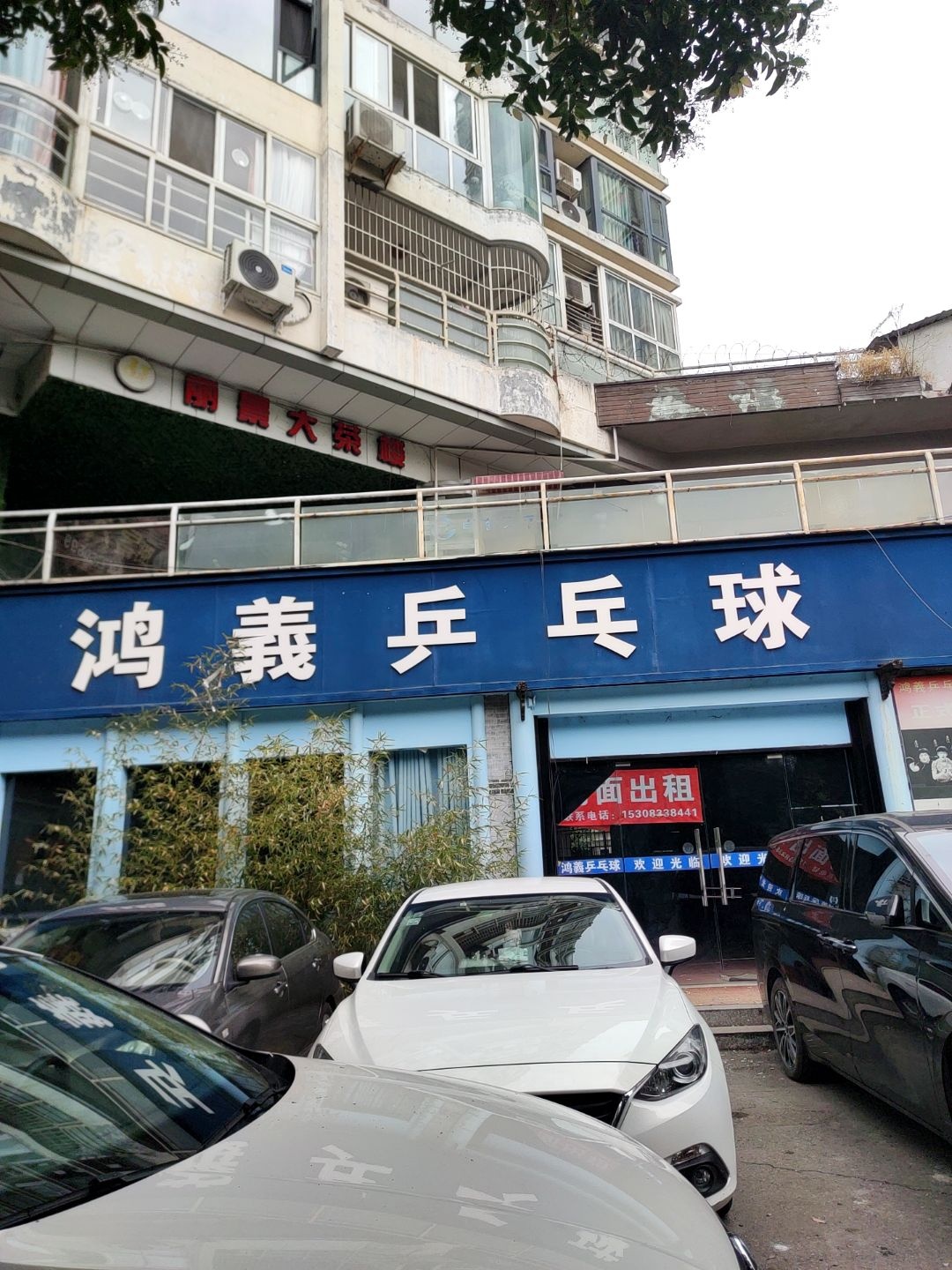 鸿羲乒乓球(花园南街店)