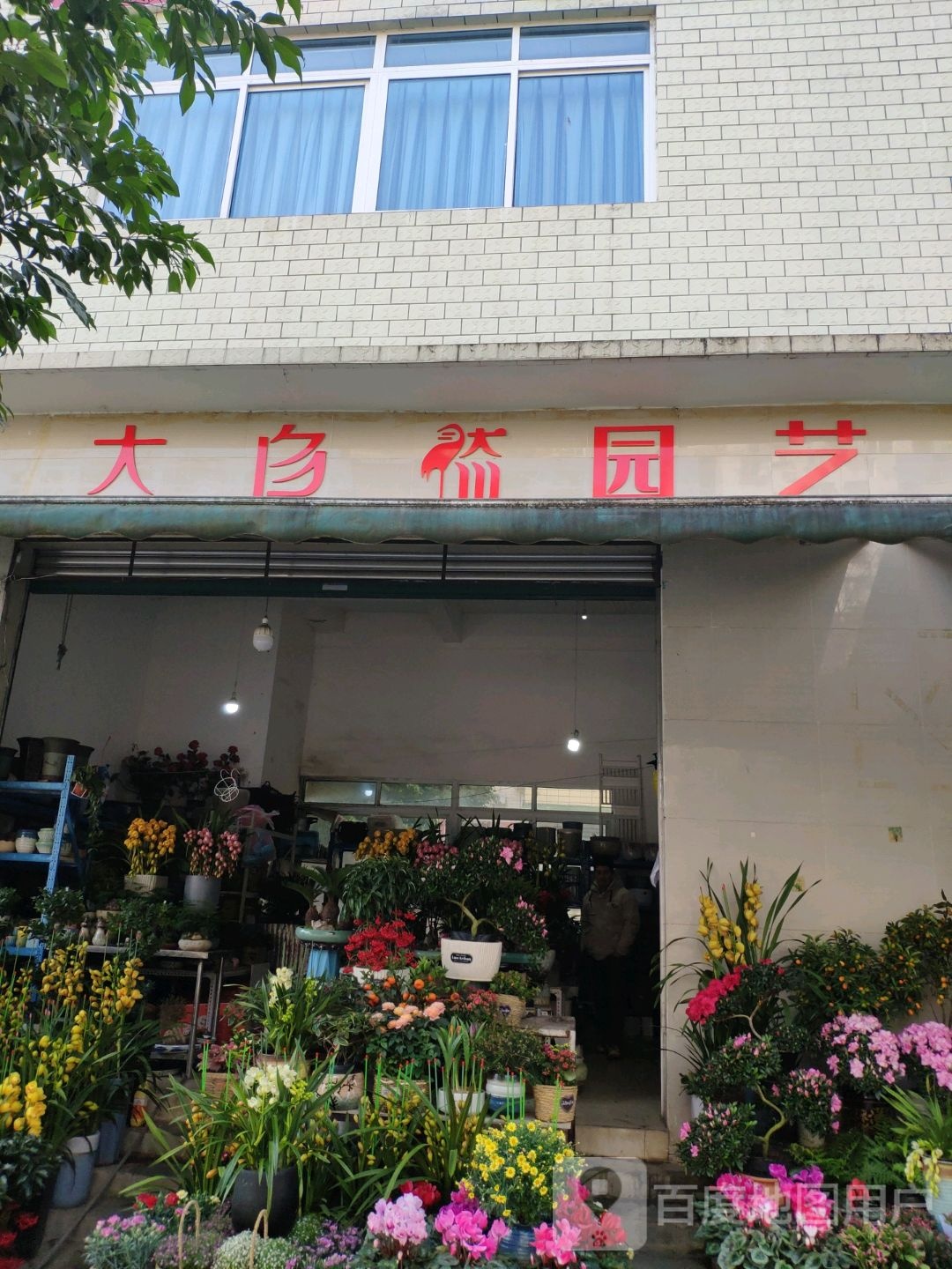 大自然园艺花卉