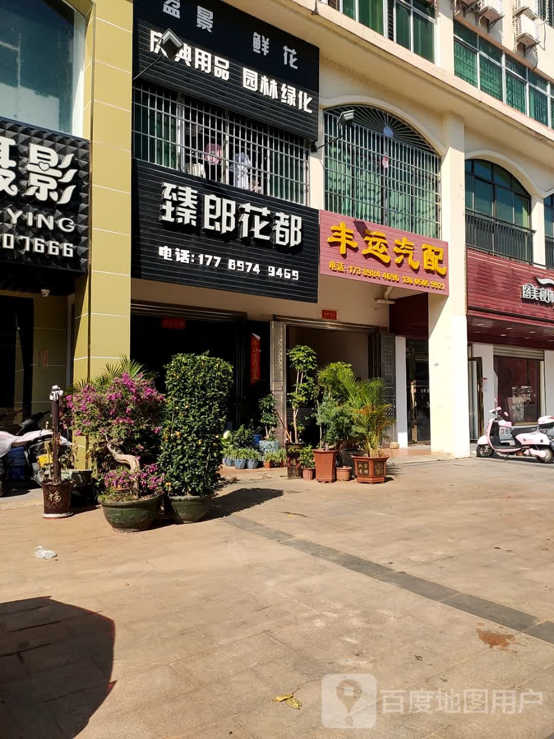 臻郎花都花店